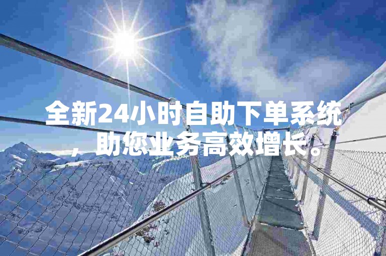 全新24小时自助下单系统，助您业务高效增长。