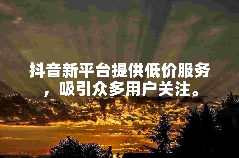 抖音新平台提供低价服务，吸引众多用户关注。