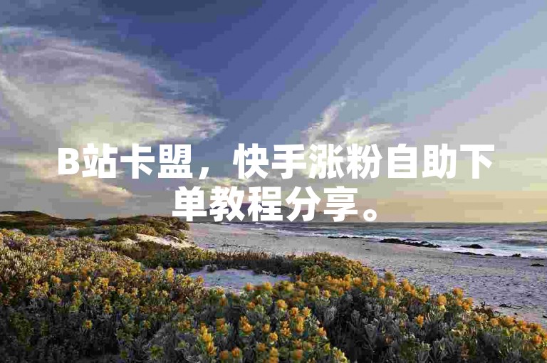 B站卡盟，快手涨粉自助下单教程分享。