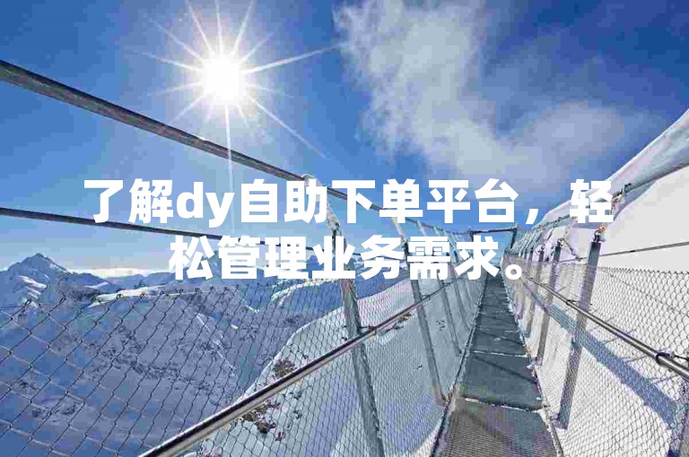 了解dy自助下单平台，轻松管理业务需求。