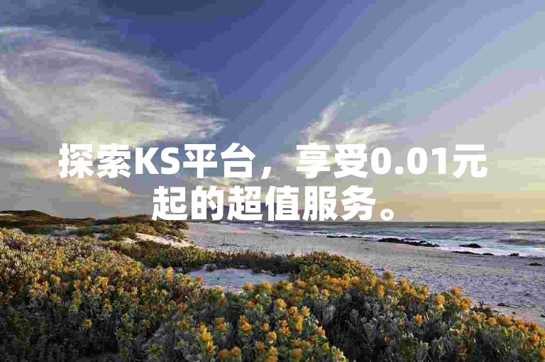 探索KS平台，享受0.01元起的超值服务。