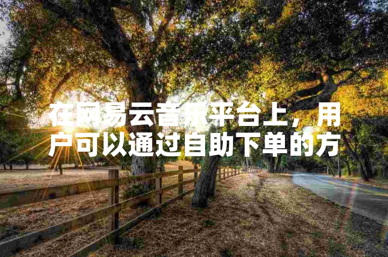 在网易云音乐平台上，用户可以通过自助下单的方式快速提高歌曲播放量。