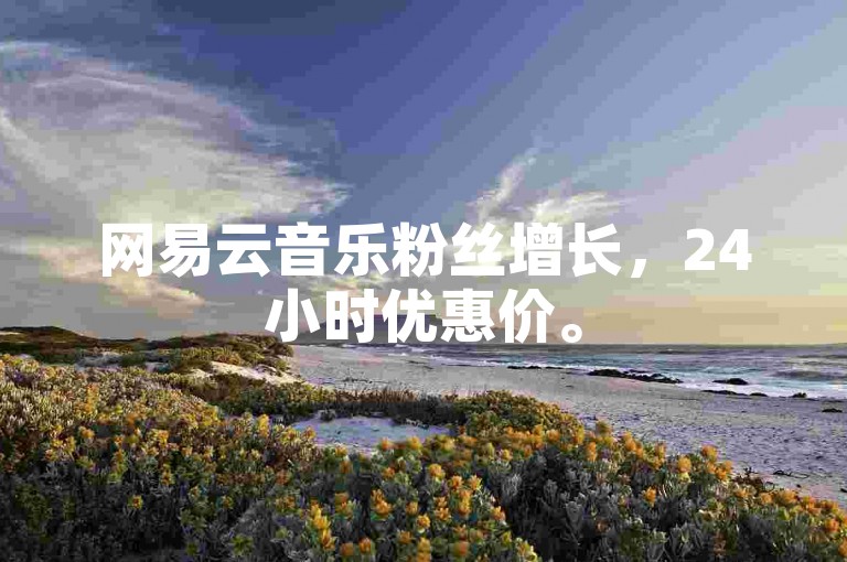 网易云音乐粉丝增长，24小时优惠价。