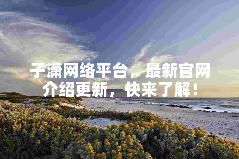 子潇网络平台，最新官网介绍更新，快来了解！