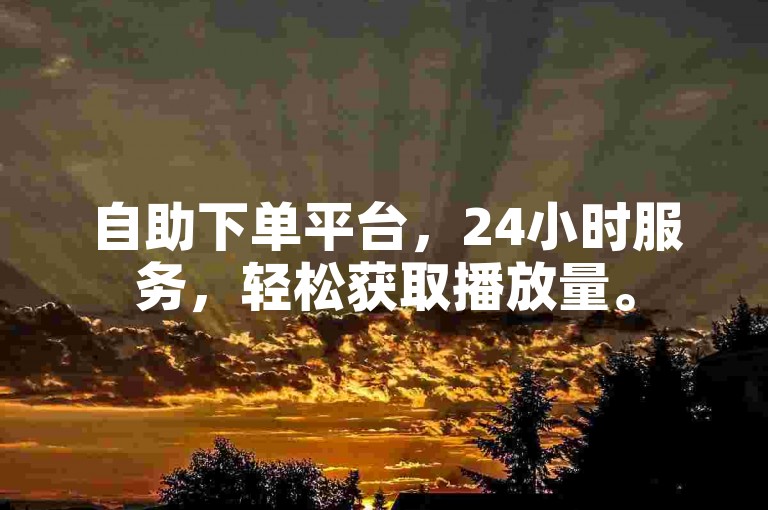 自助下单平台，24小时服务，轻松获取播放量。