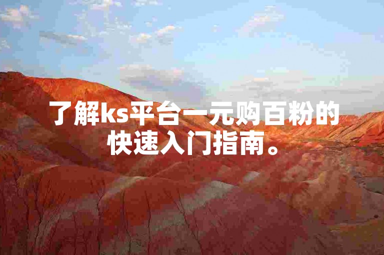 了解ks平台一元购百粉的快速入门指南。