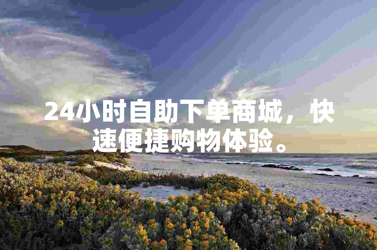 24小时自助下单商城，快速便捷购物体验。