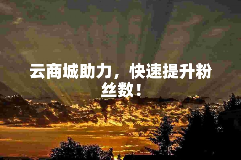 云商城助力，快速提升粉丝数！