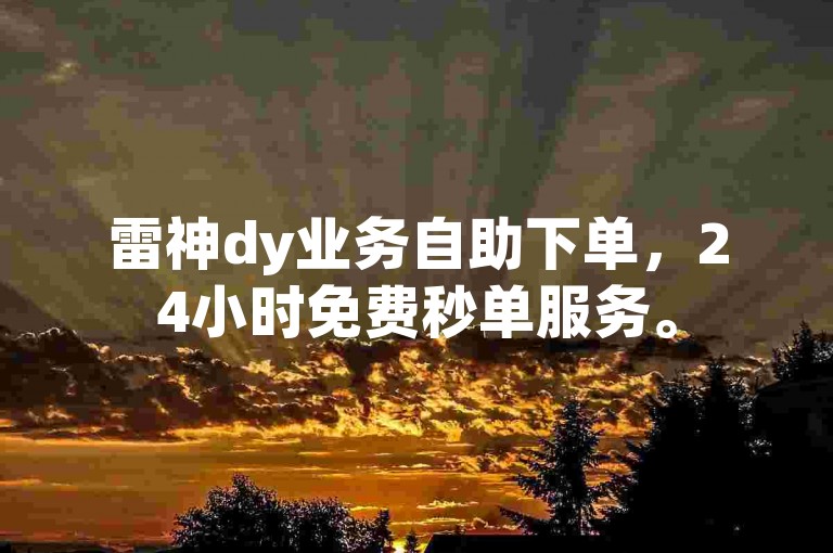 雷神dy业务自助下单，24小时免费秒单服务。