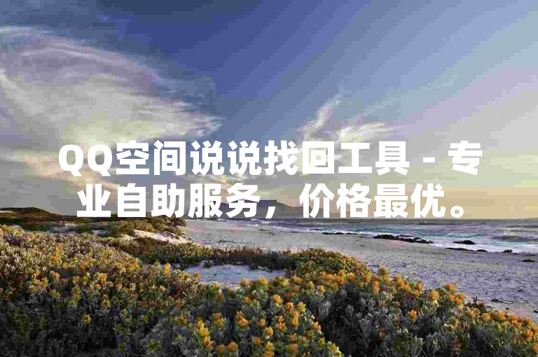 QQ空间说说找回工具 - 专业自助服务，价格最优。