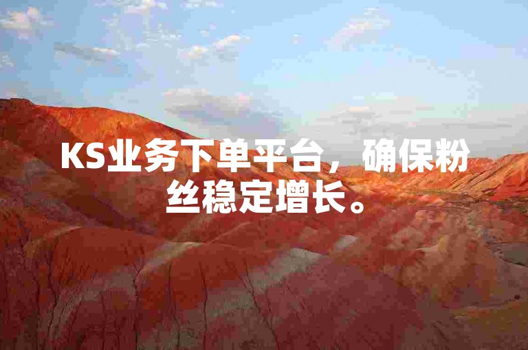 KS业务下单平台，确保粉丝稳定增长。