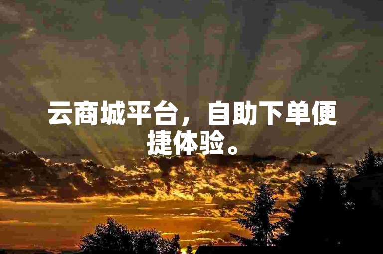 云商城平台，自助下单便捷体验。