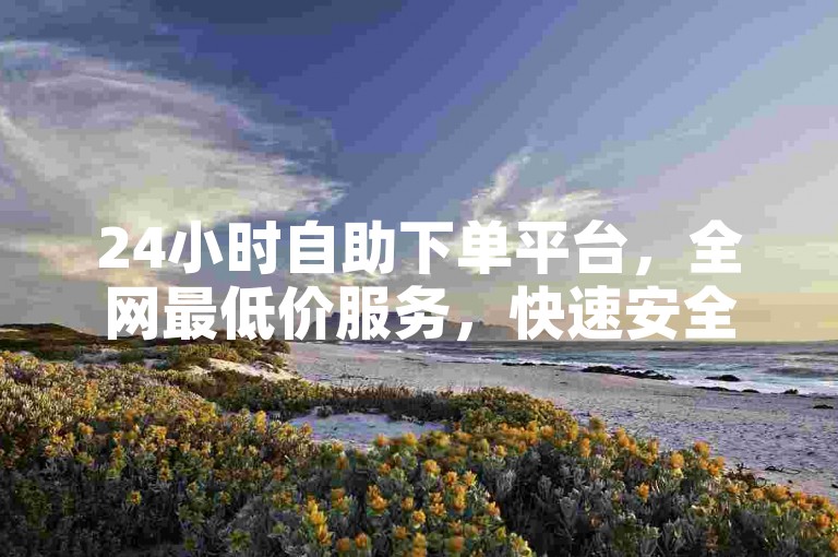 24小时自助下单平台，全网最低价服务，快速安全。