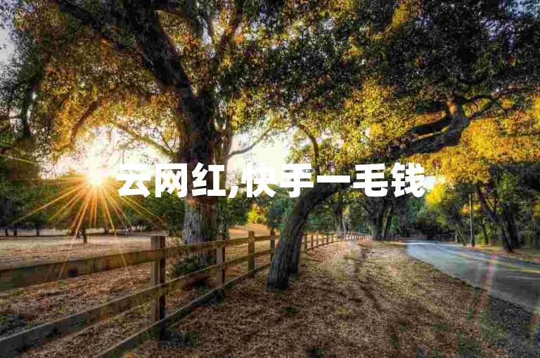 云网红,快手一毛钱