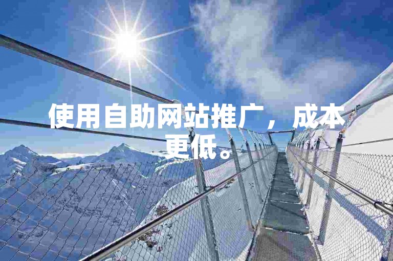 使用自助网站推广，成本更低。