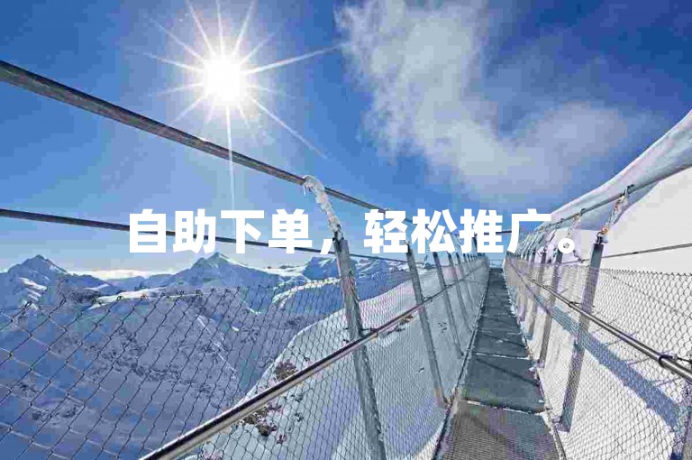 自助下单，轻松推广。