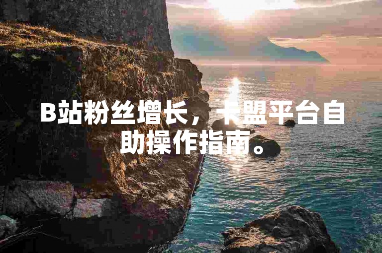 B站粉丝增长，卡盟平台自助操作指南。