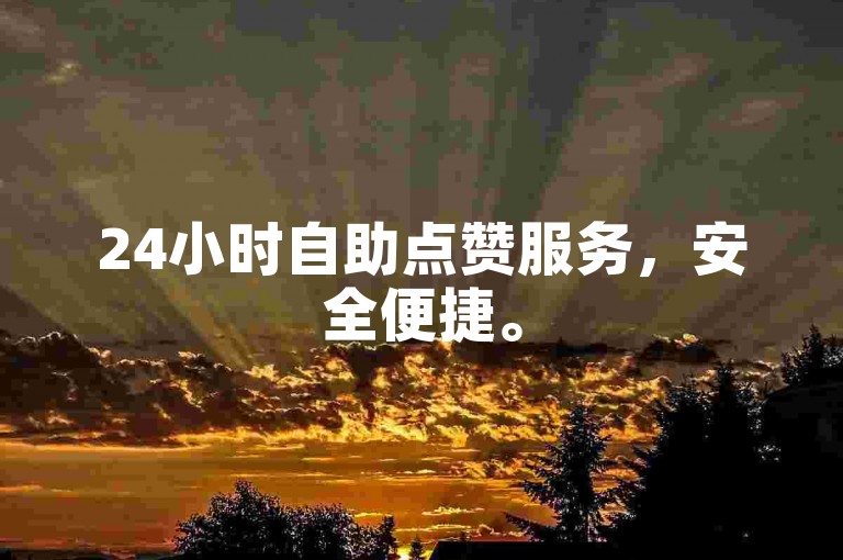 24小时自助点赞服务，安全便捷。