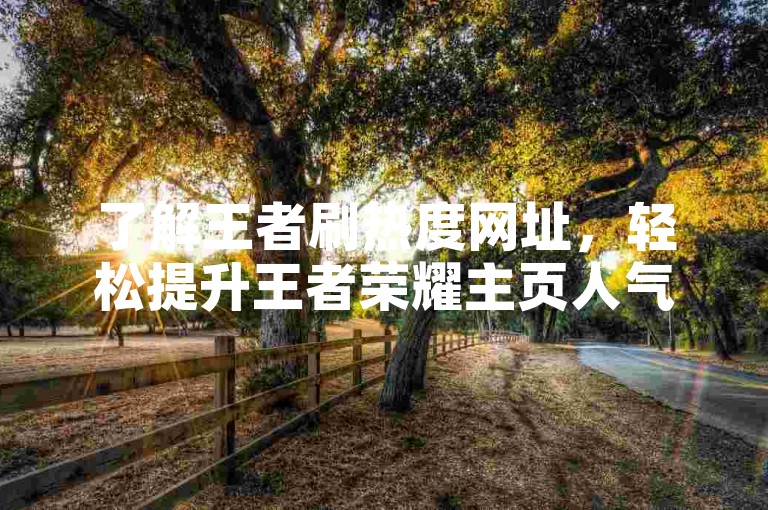了解王者刷热度网址，轻松提升王者荣耀主页人气。