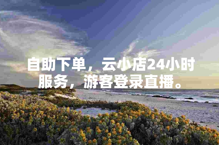 自助下单，云小店24小时服务，游客登录直播。