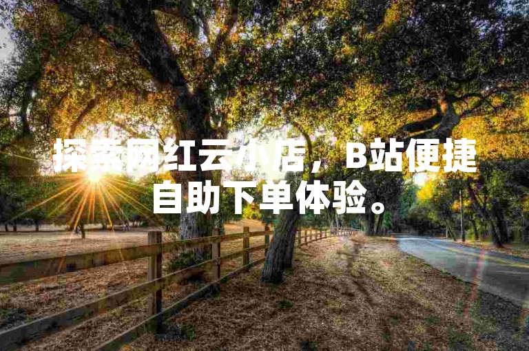 探索网红云小店，B站便捷自助下单体验。