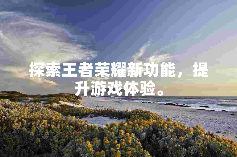 探索王者荣耀新功能，提升游戏体验。