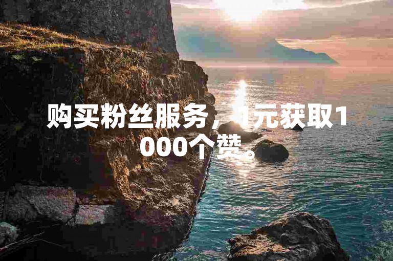 购买粉丝服务，1元获取1000个赞。