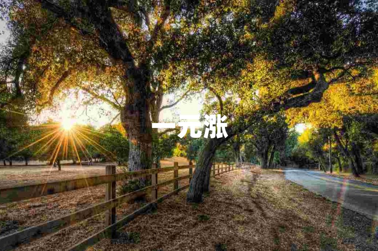 一元涨500赞 - 平台低价，安全可靠。