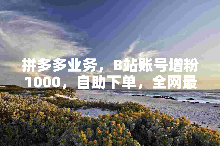 拼多多业务，B站账号增粉1000，自助下单，全网最低价。