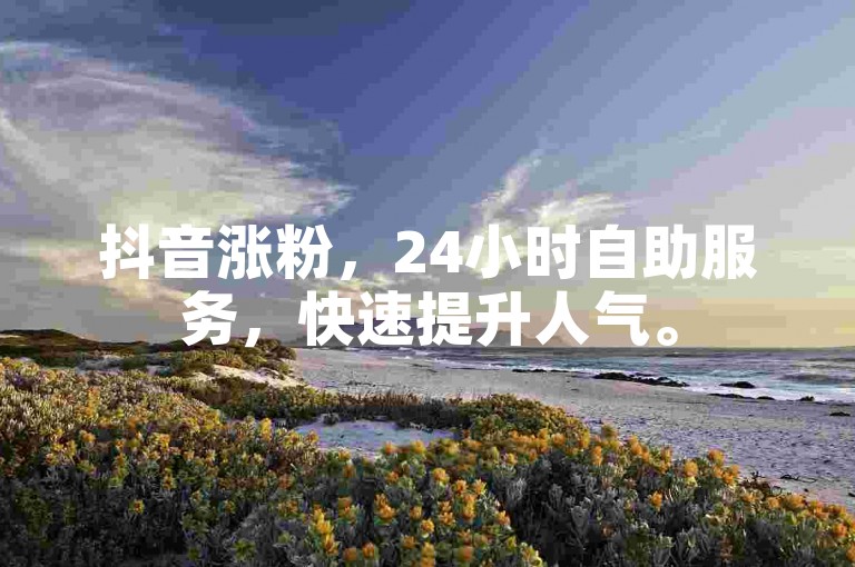 抖音涨粉，24小时自助服务，快速提升人气。