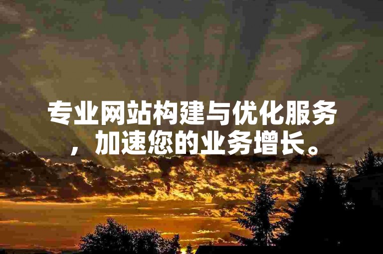 专业网站构建与优化服务，加速您的业务增长。