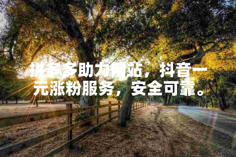 拼多多助力网站，抖音一元涨粉服务，安全可靠。