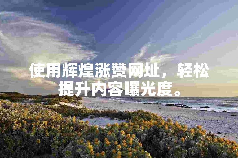 使用辉煌涨赞网址，轻松提升内容曝光度。