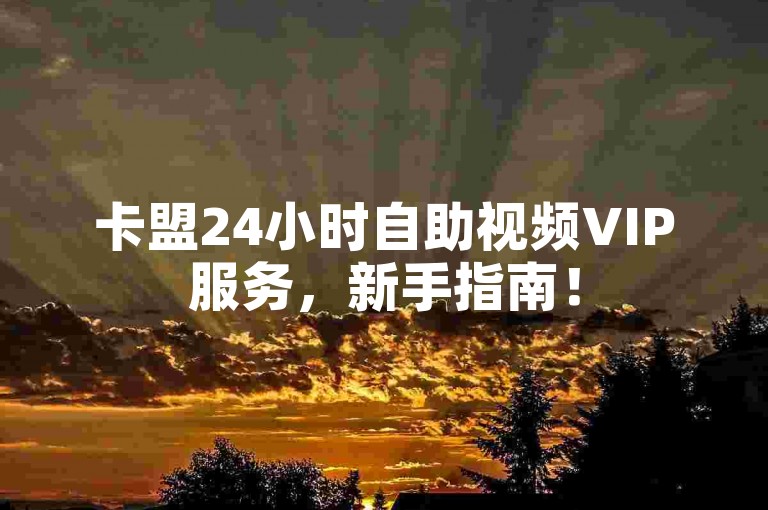 卡盟24小时自助视频VIP服务，新手指南！