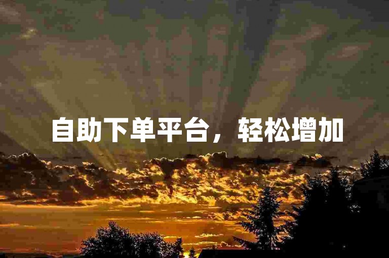 自助下单平台，轻松增加50赞。