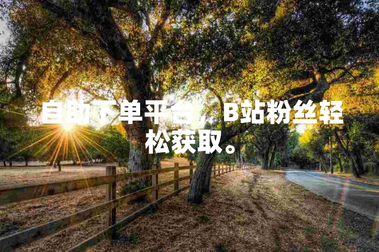自助下单平台，B站粉丝轻松获取。