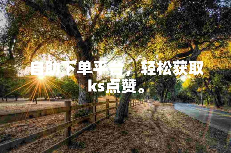 自助下单平台，轻松获取ks点赞。