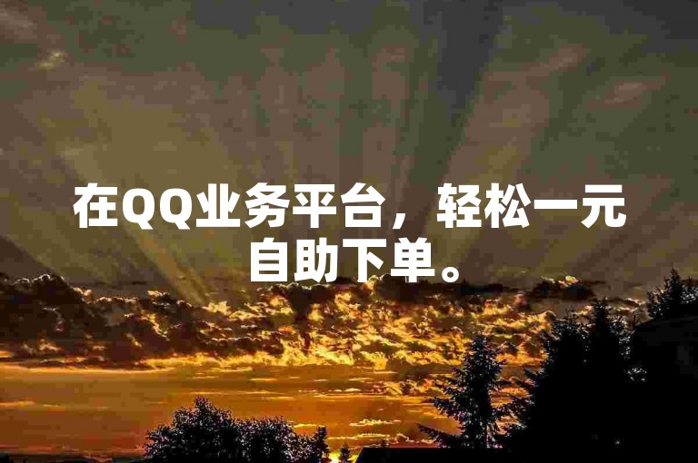 在QQ业务平台，轻松一元自助下单。