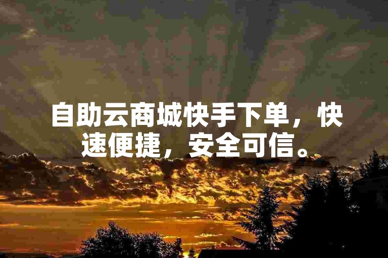 自助云商城快手下单，快速便捷，安全可信。