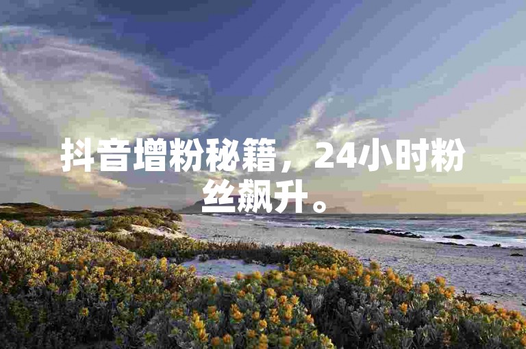抖音增粉秘籍，24小时粉丝飙升。