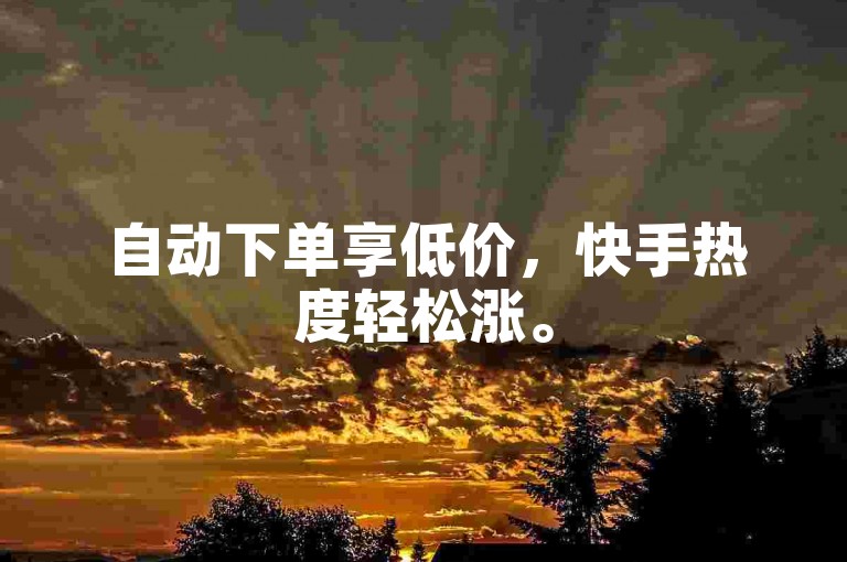 自动下单享低价，快手热度轻松涨。