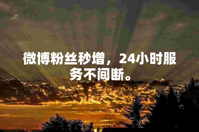 微博粉丝秒增，24小时服务不间断。