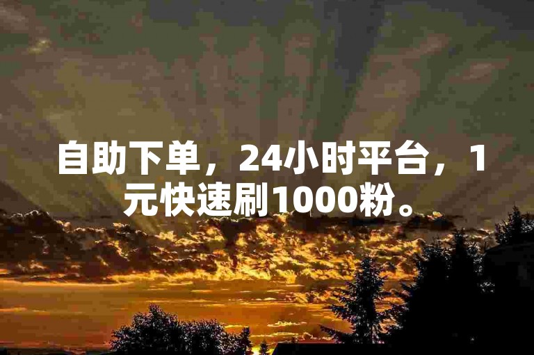 自助下单，24小时平台，1元快速刷1000粉。
