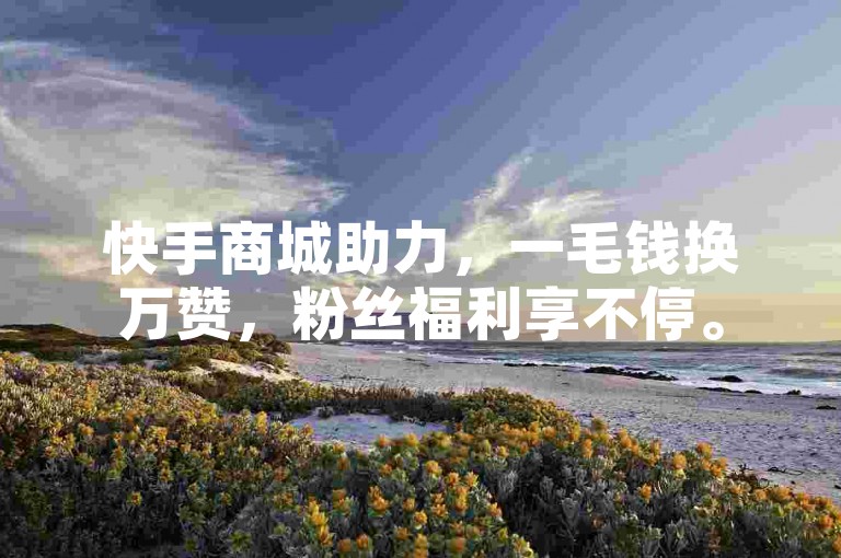 快手商城助力，一毛钱换万赞，粉丝福利享不停。