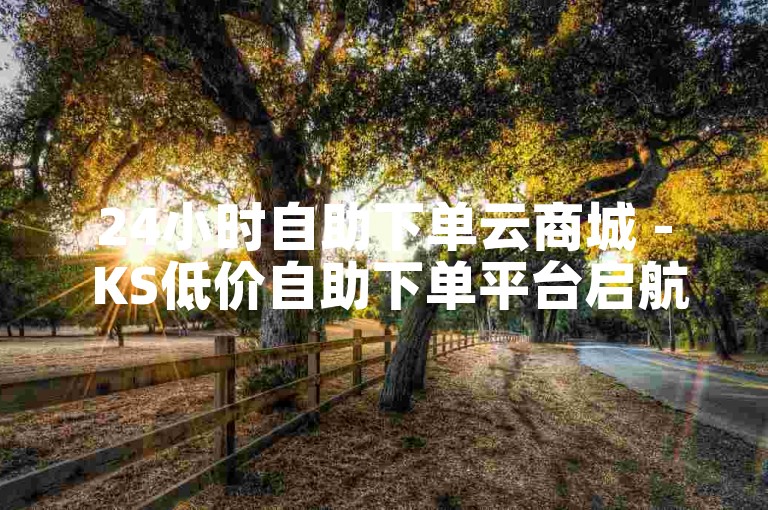 24小时自助下单云商城 - KS低价自助下单平台启航