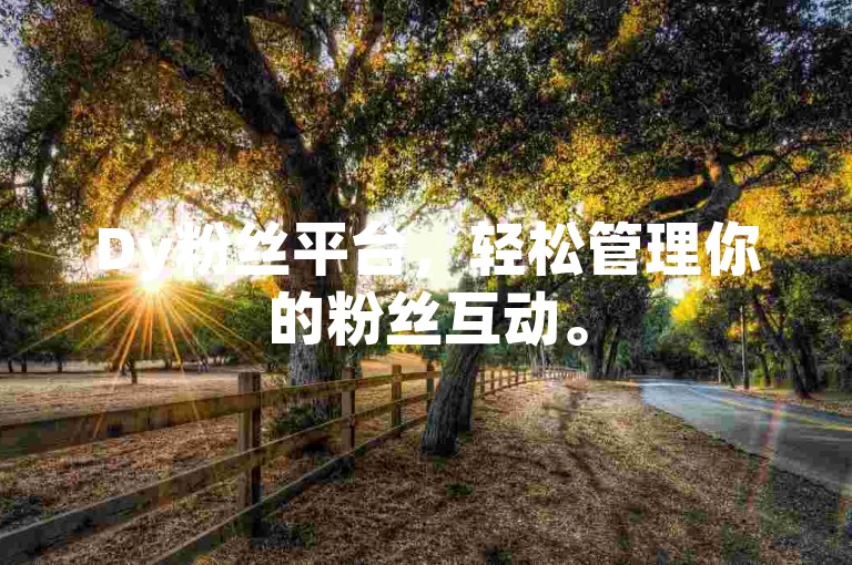 Dy粉丝平台，轻松管理你的粉丝互动。