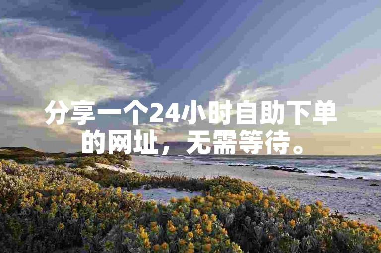 分享一个24小时自助下单的网址，无需等待。
