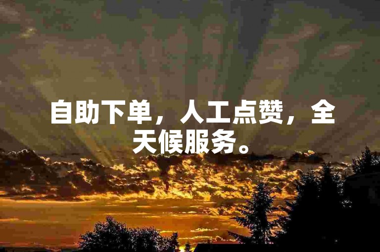 自助下单，人工点赞，全天候服务。