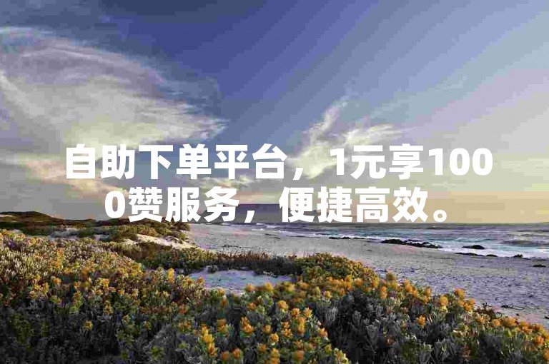 自助下单平台，1元享1000赞服务，便捷高效。