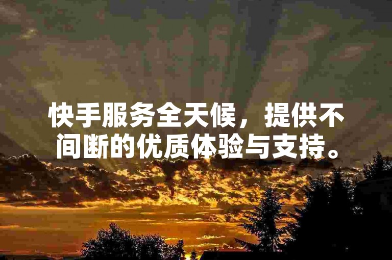 快手服务全天候，提供不间断的优质体验与支持。
